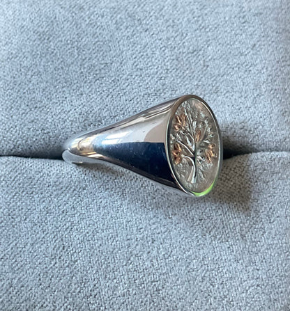 Clogau Unisex Tree of Life Signet ring in silver and rose gold size P