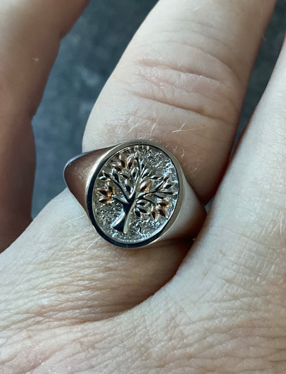 Clogau Unisex Tree of Life Signet ring in silver and rose gold size P