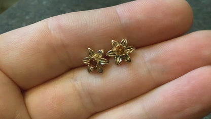 Clogau 9ct daffodil stud earrings yellow and rose gold (not original backs)