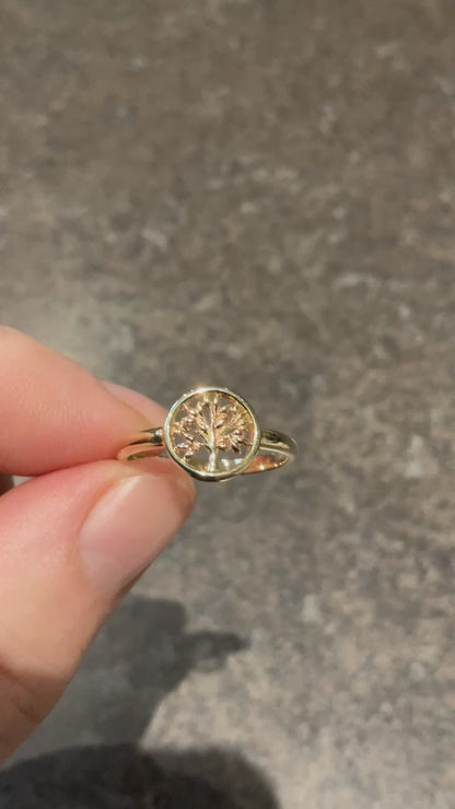 Clogau 9ct Tree of Life Circle ring size P in yellow and rose gold
